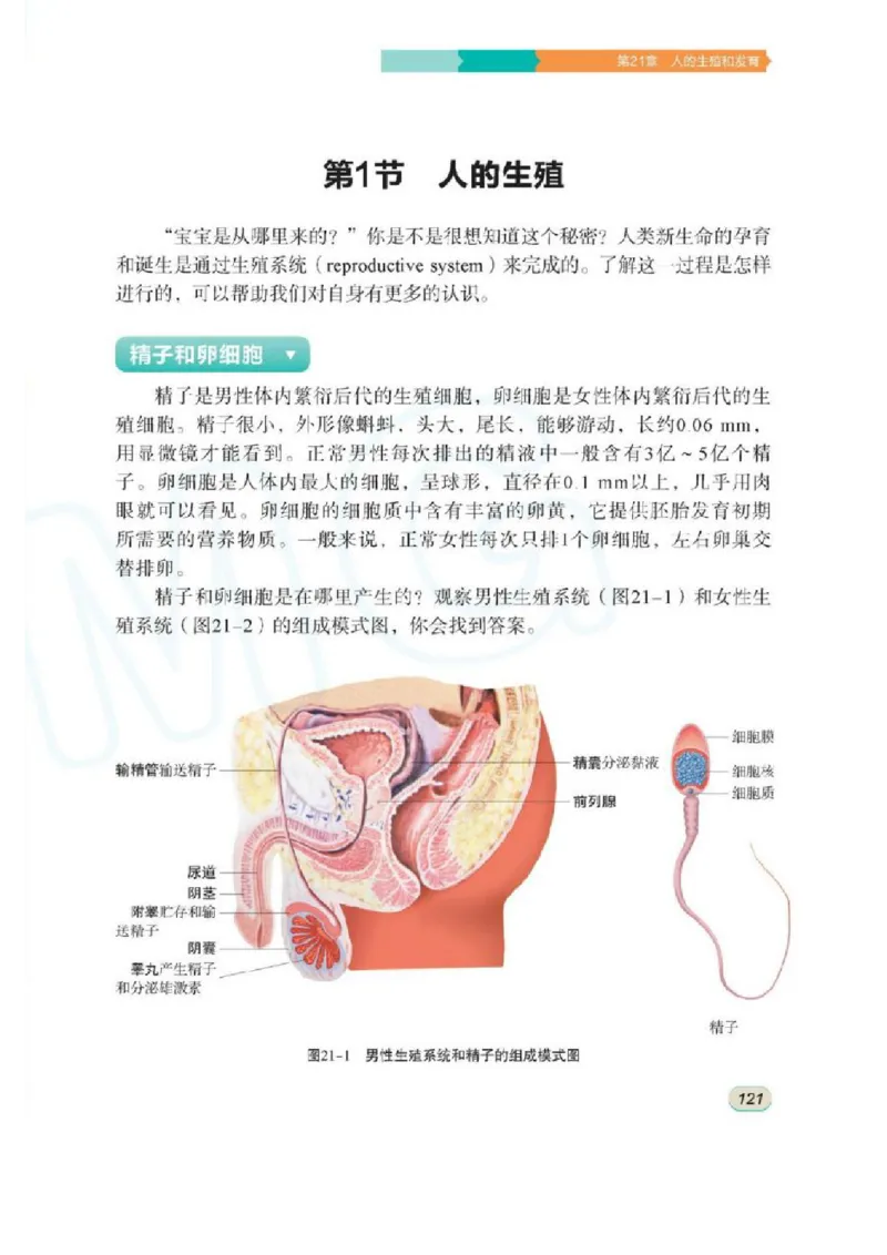 苏科版生物八年级上册_初中电子课本_9.生物_苏科版