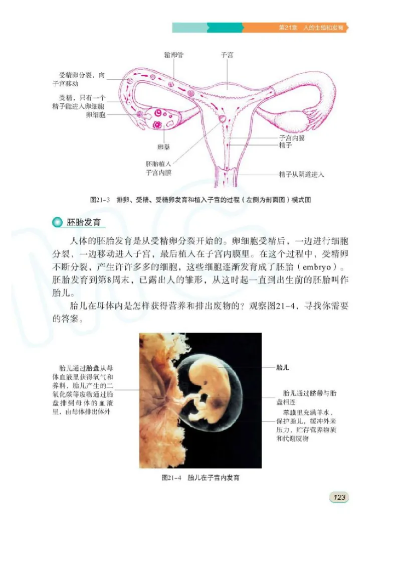 苏科版生物八年级上册_初中电子课本_9.生物_苏科版