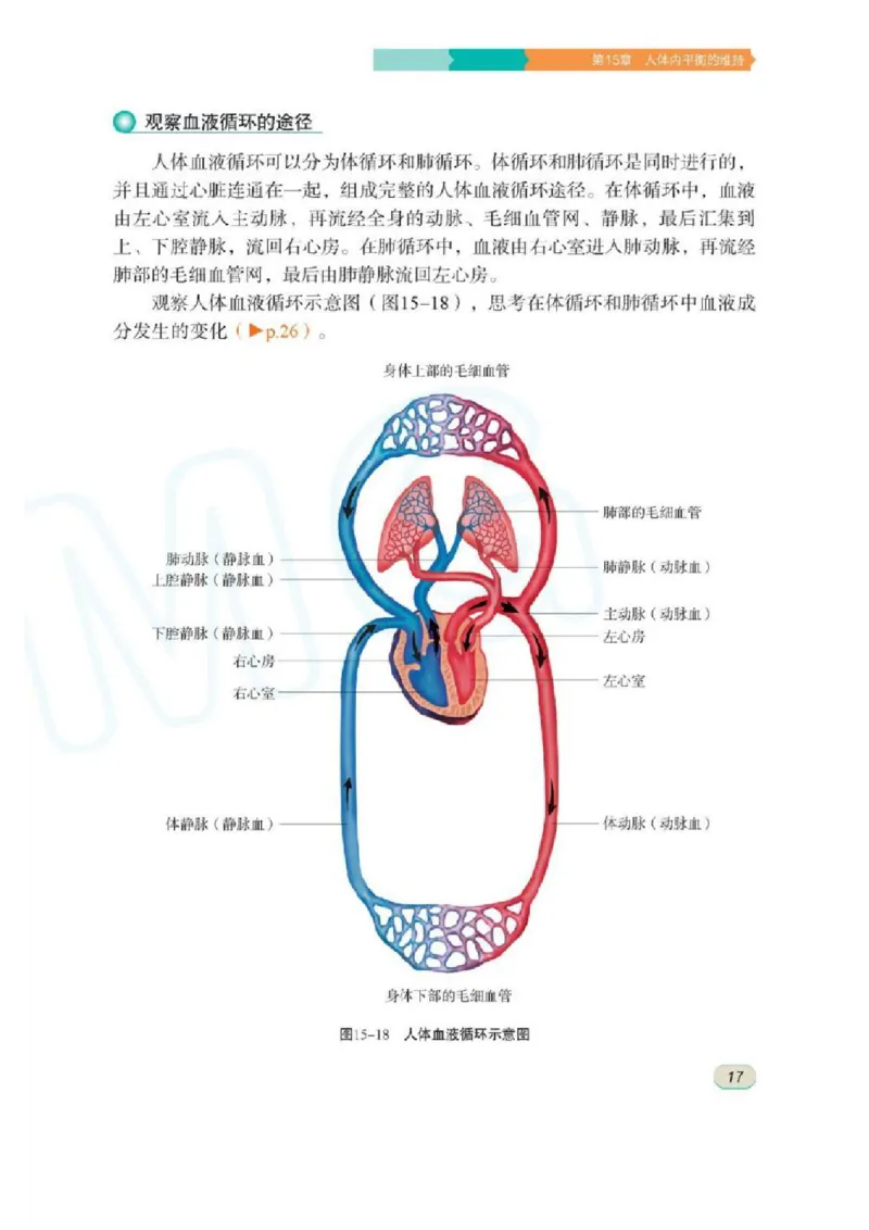 苏科版生物八年级上册_初中电子课本_9.生物_苏科版