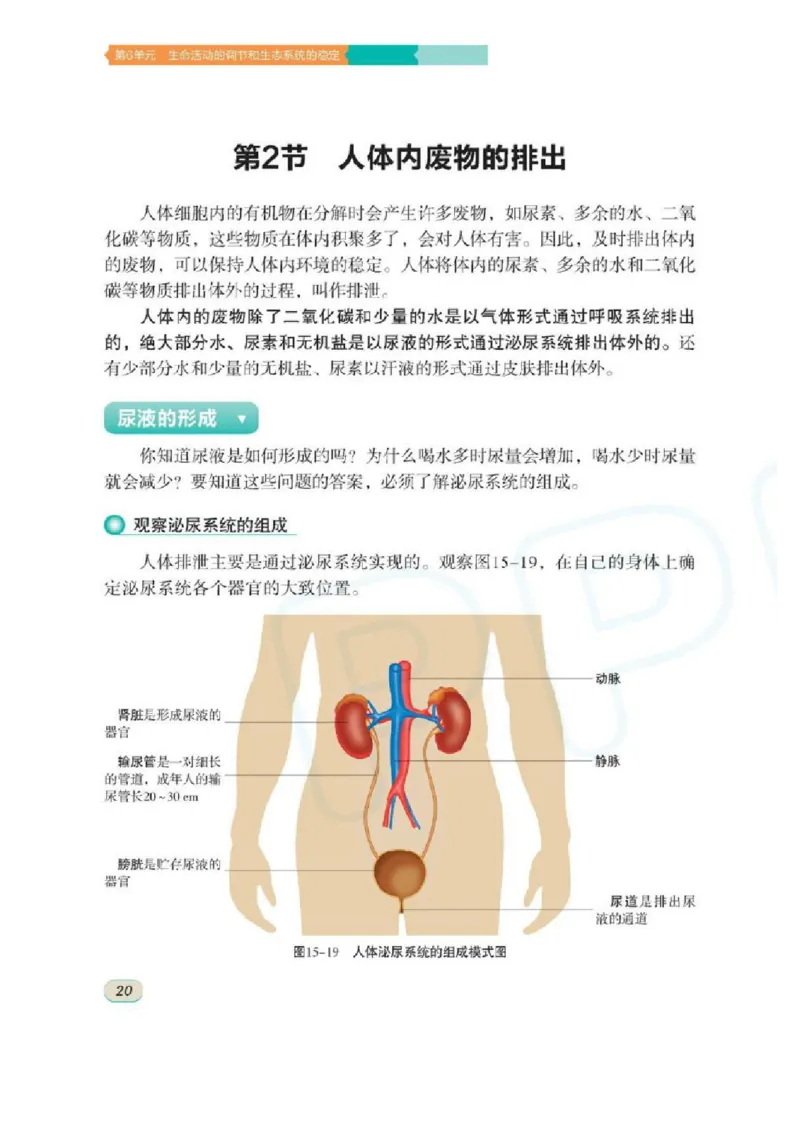 苏科版生物八年级上册_初中电子课本_9.生物_苏科版