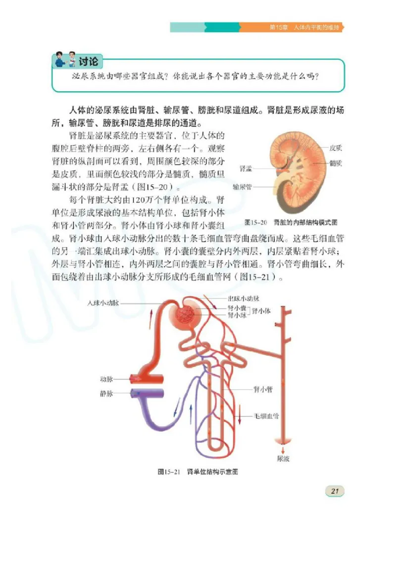 苏科版生物八年级上册_初中电子课本_9.生物_苏科版