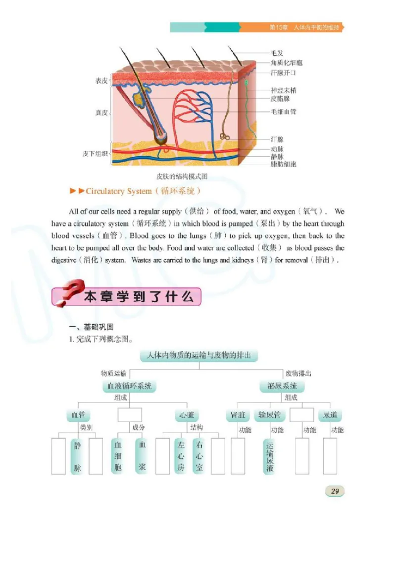 苏科版生物八年级上册_初中电子课本_9.生物_苏科版