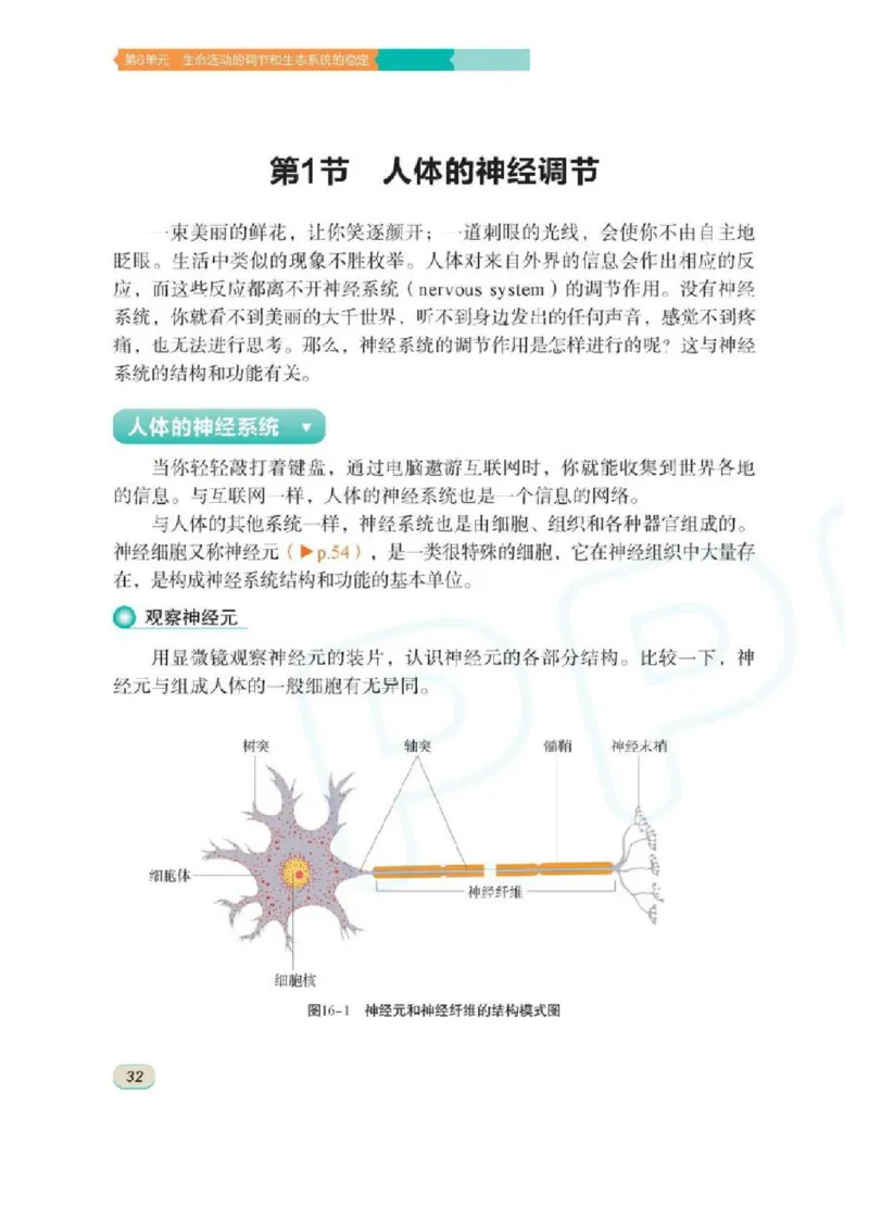 苏科版生物八年级上册_初中电子课本_9.生物_苏科版