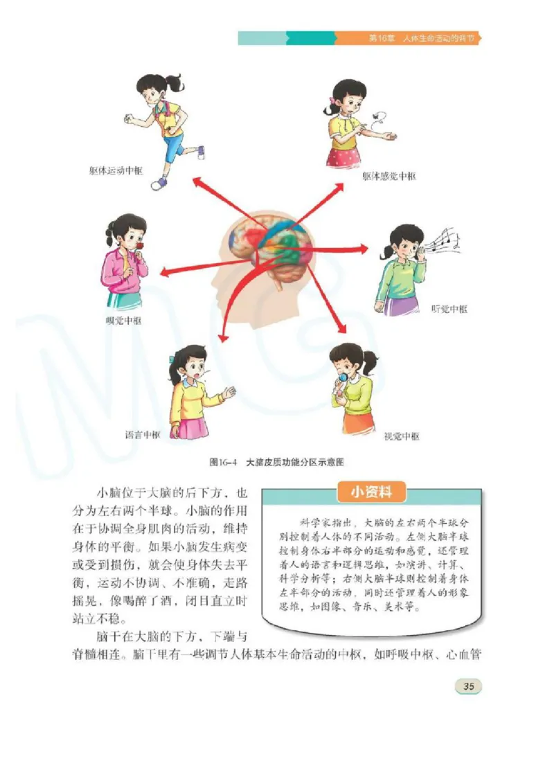 苏科版生物八年级上册_初中电子课本_9.生物_苏科版