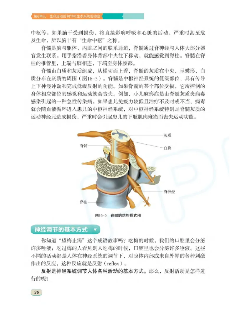 苏科版生物八年级上册_初中电子课本_9.生物_苏科版