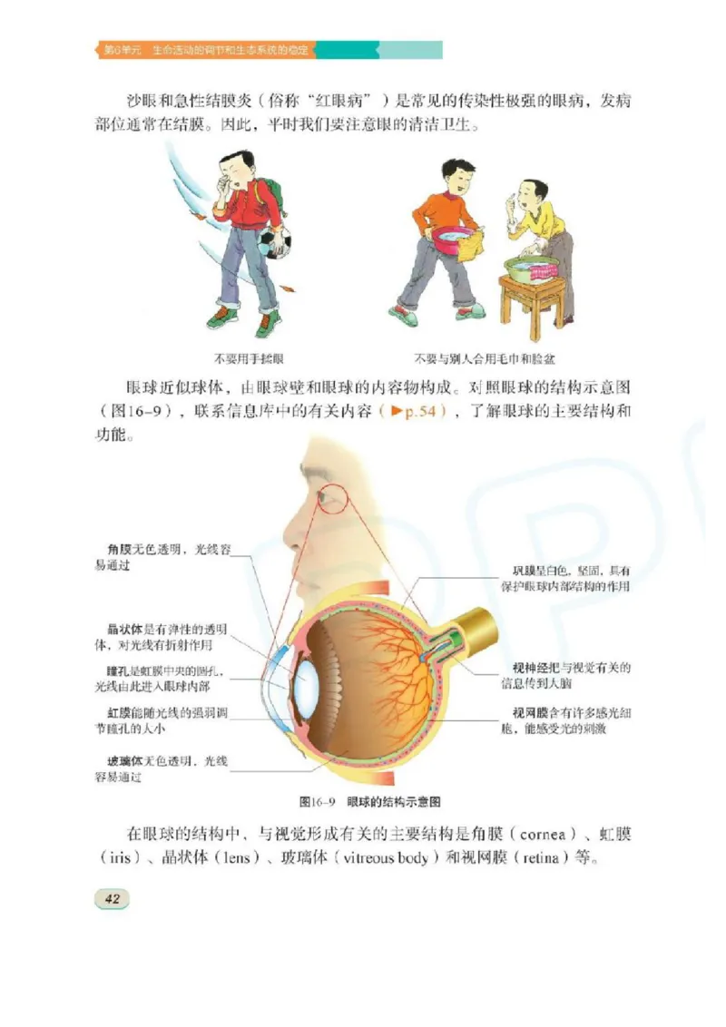 苏科版生物八年级上册_初中电子课本_9.生物_苏科版