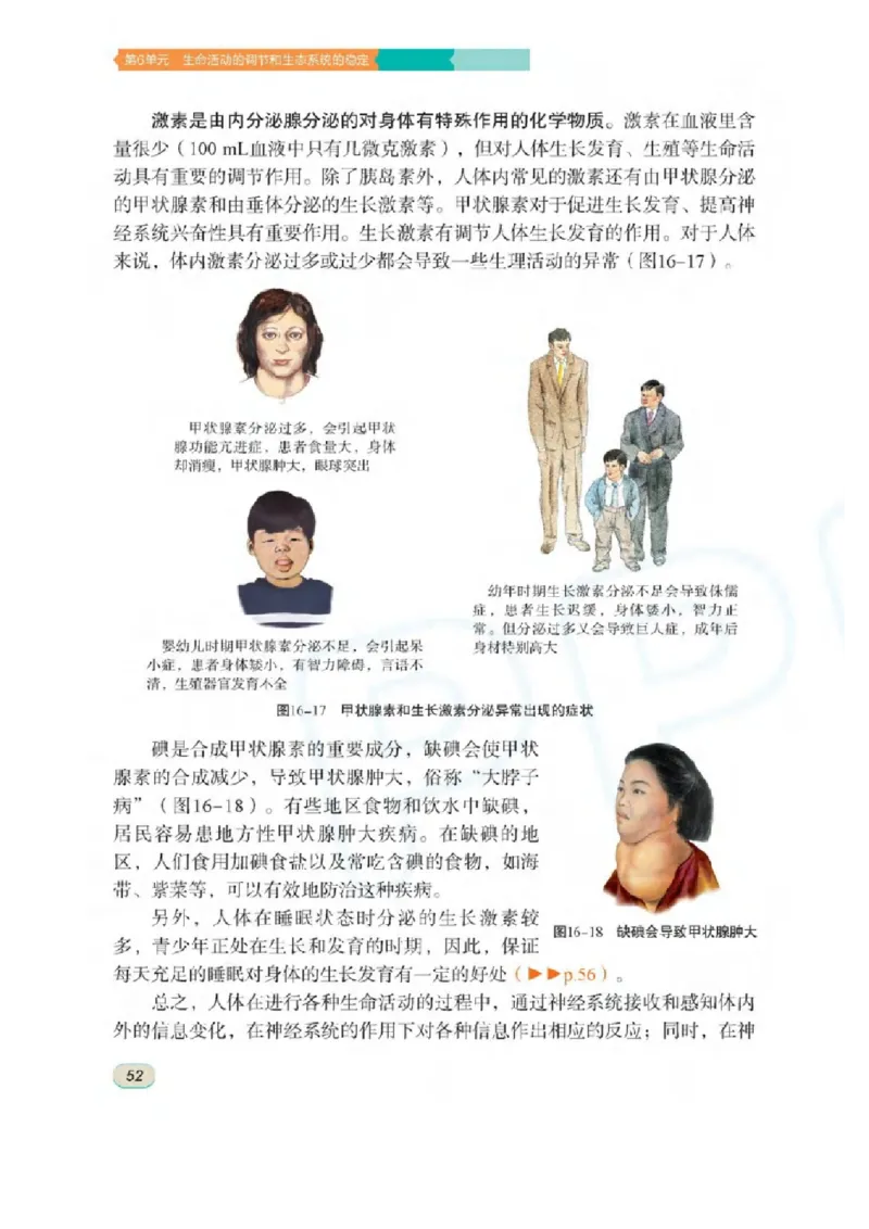 苏科版生物八年级上册_初中电子课本_9.生物_苏科版