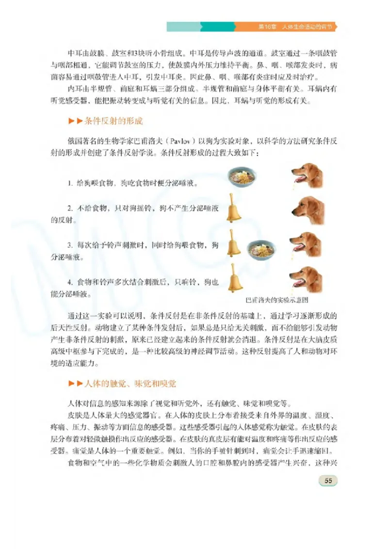 苏科版生物八年级上册_初中电子课本_9.生物_苏科版