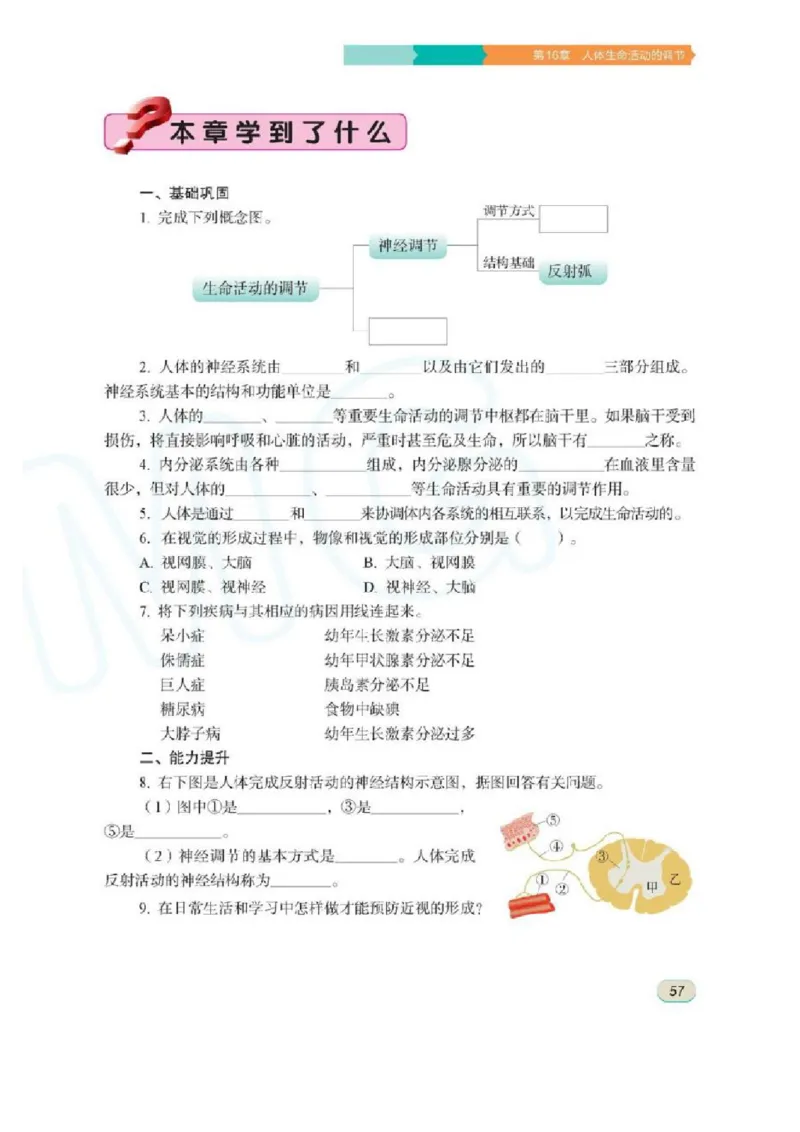 苏科版生物八年级上册_初中电子课本_9.生物_苏科版