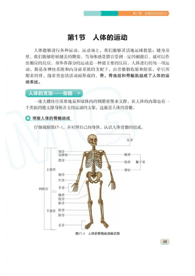 苏科版生物八年级上册_初中电子课本_9.生物_苏科版