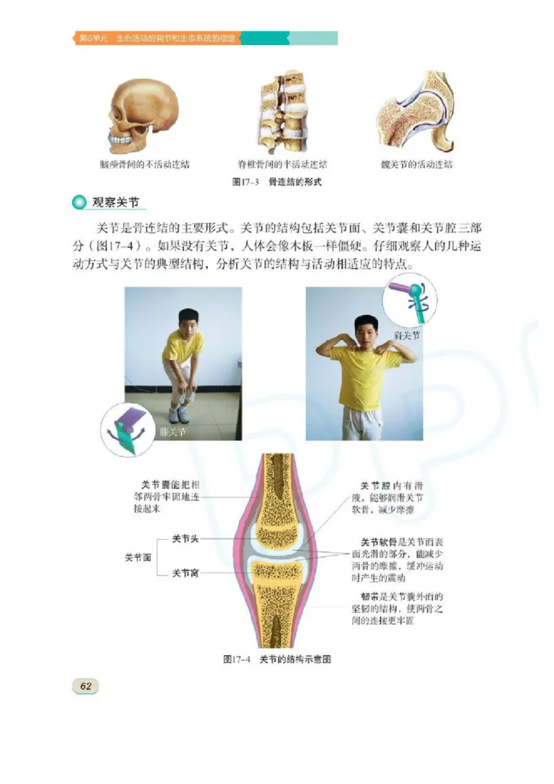 苏科版生物八年级上册_初中电子课本_9.生物_苏科版