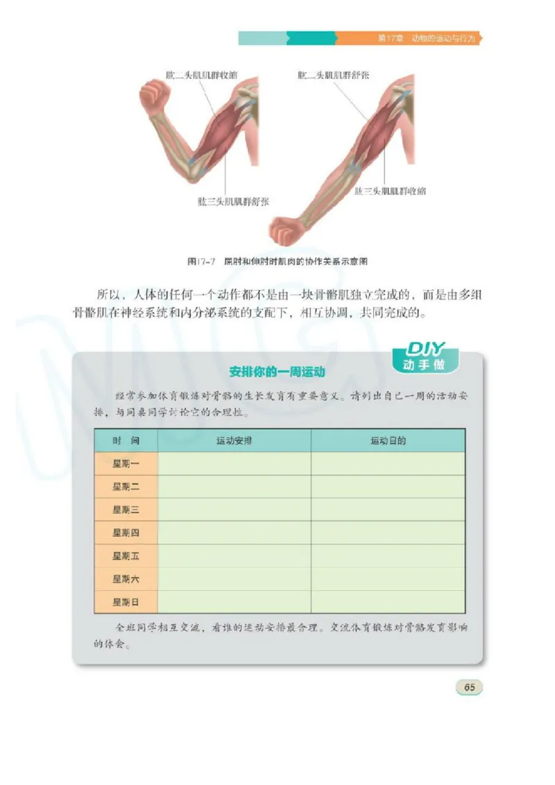 苏科版生物八年级上册_初中电子课本_9.生物_苏科版