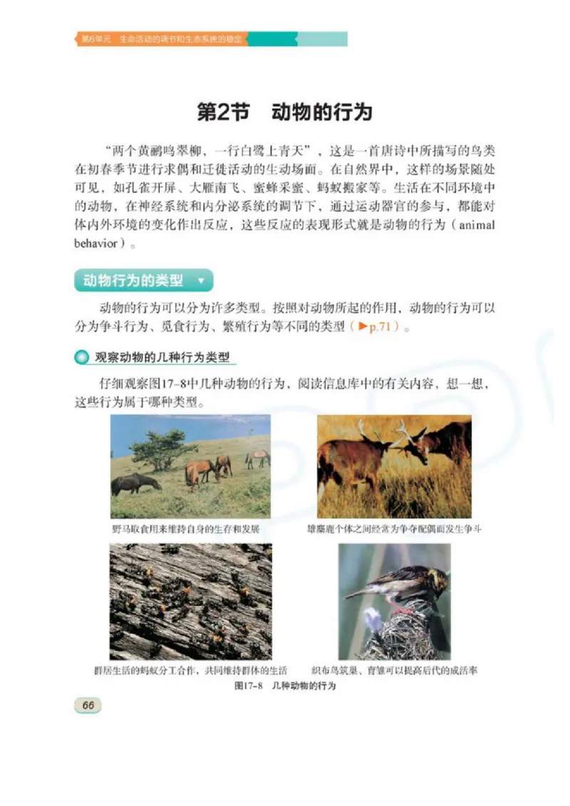 苏科版生物八年级上册_初中电子课本_9.生物_苏科版