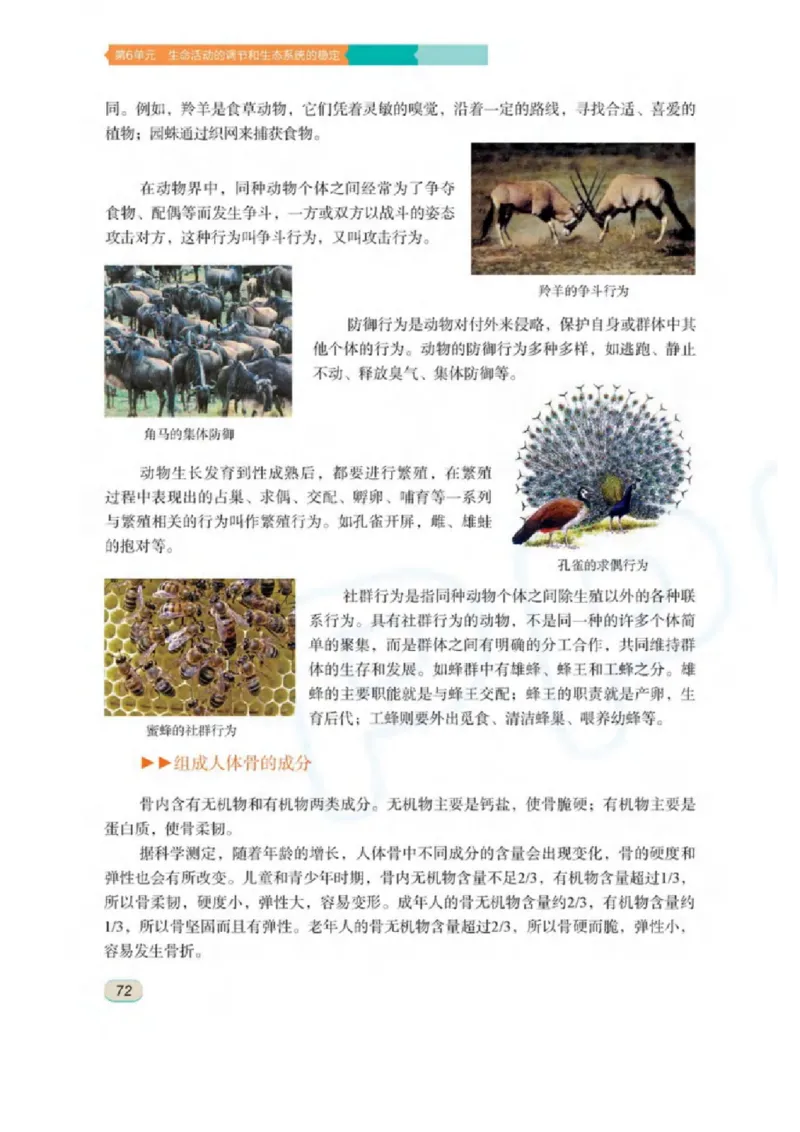 苏科版生物八年级上册_初中电子课本_9.生物_苏科版