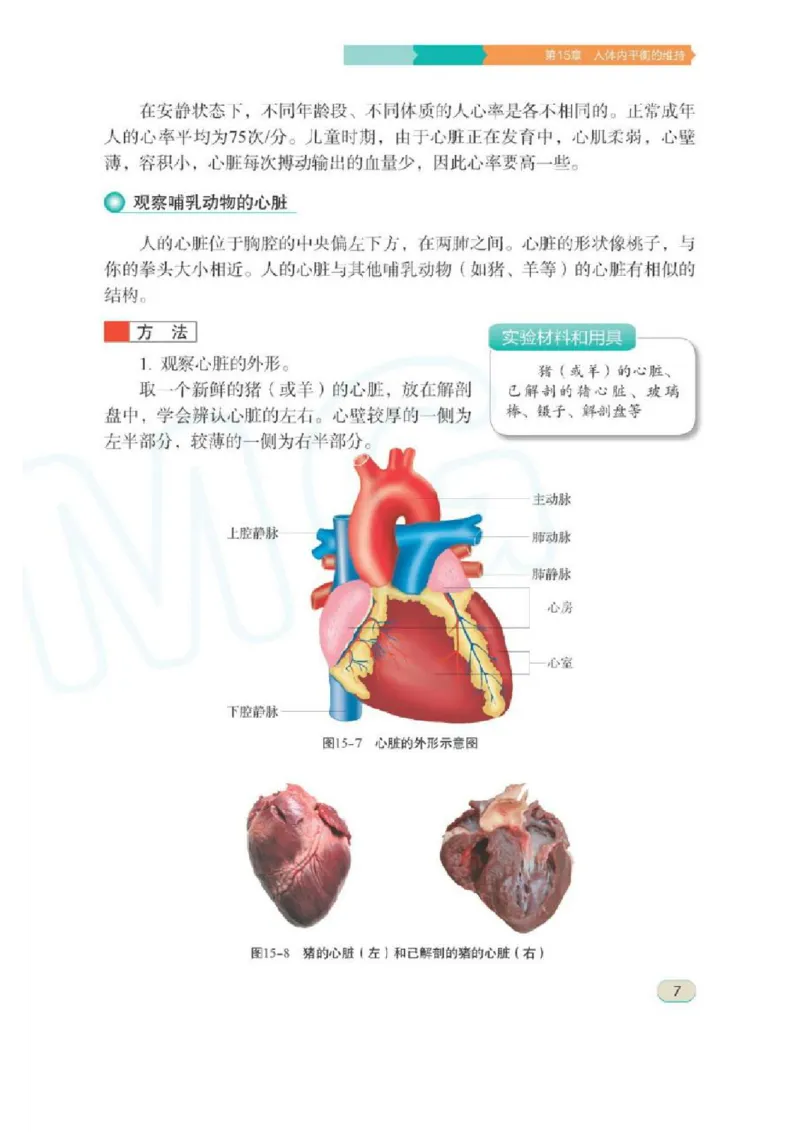 苏科版生物八年级上册_初中电子课本_9.生物_苏科版