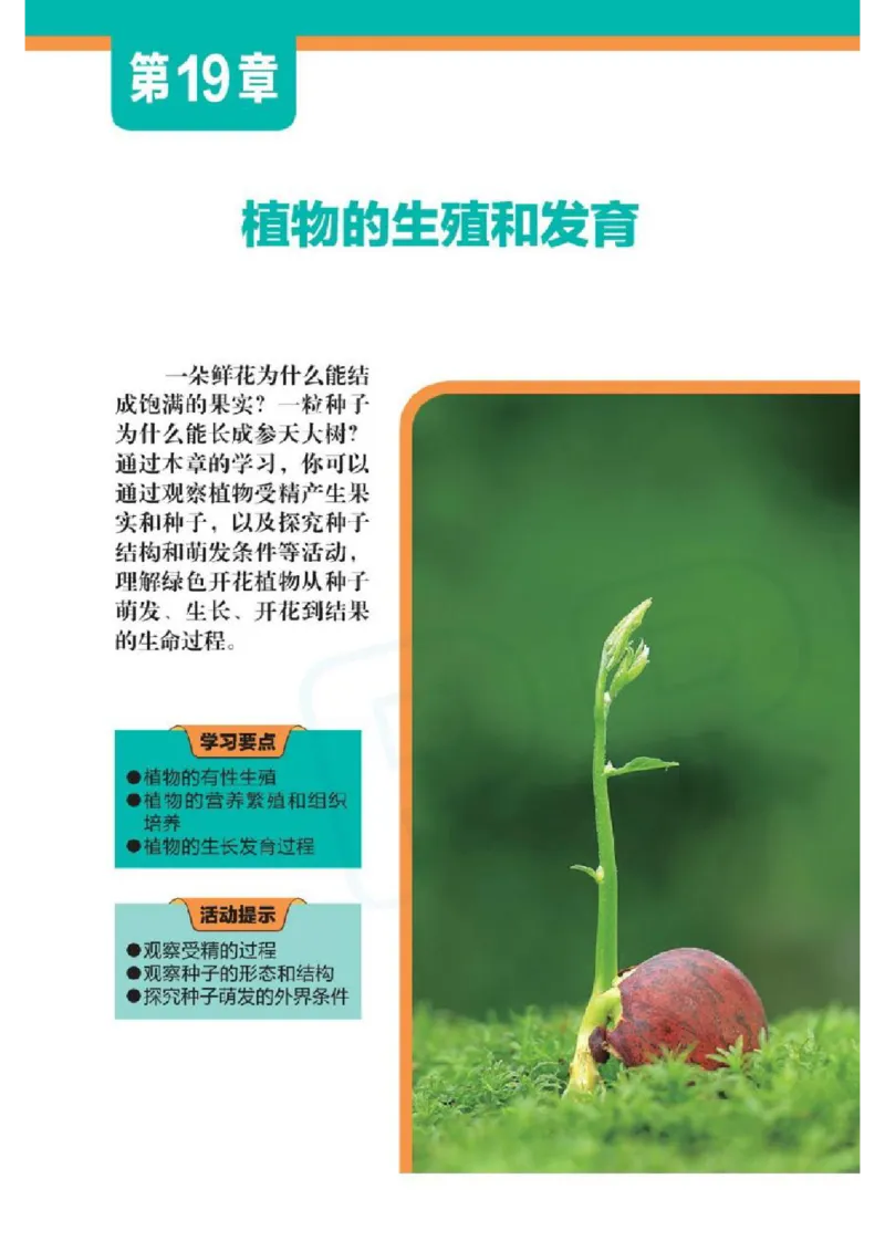 苏科版生物八年级上册_初中电子课本_9.生物_苏科版