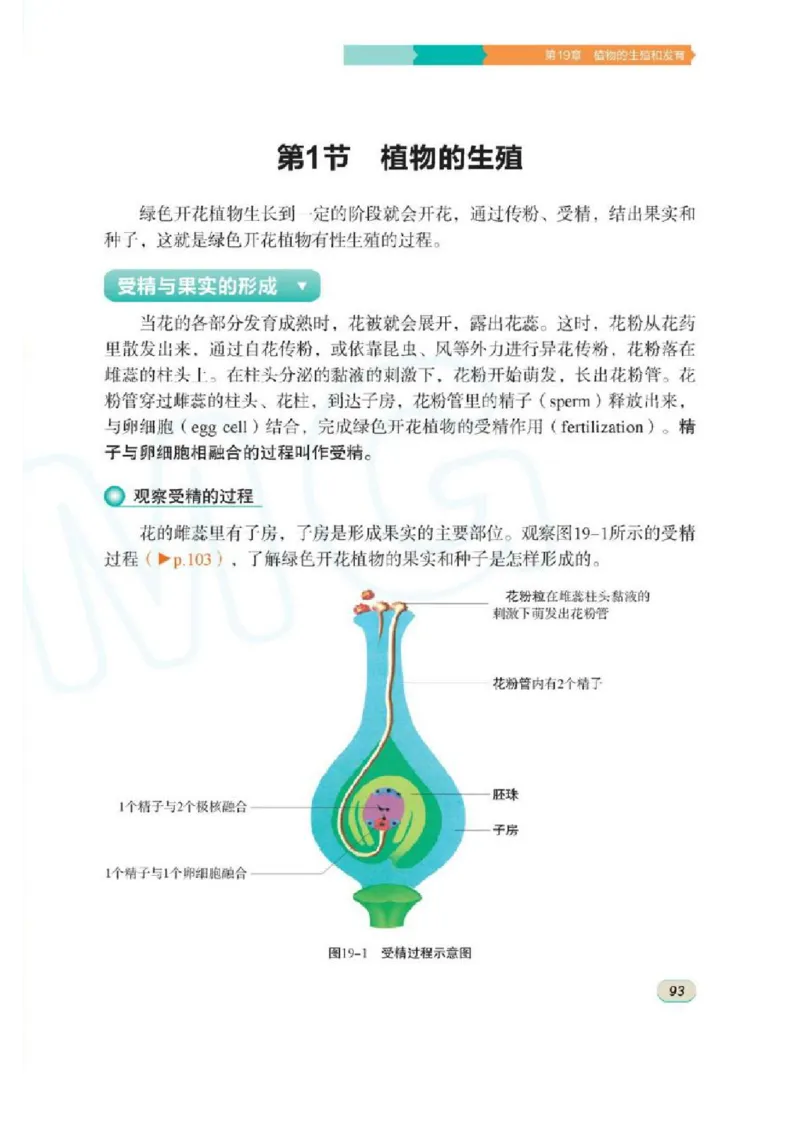 苏科版生物八年级上册_初中电子课本_9.生物_苏科版