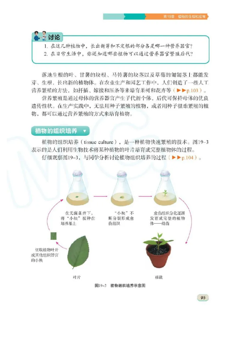 苏科版生物八年级上册_初中电子课本_9.生物_苏科版