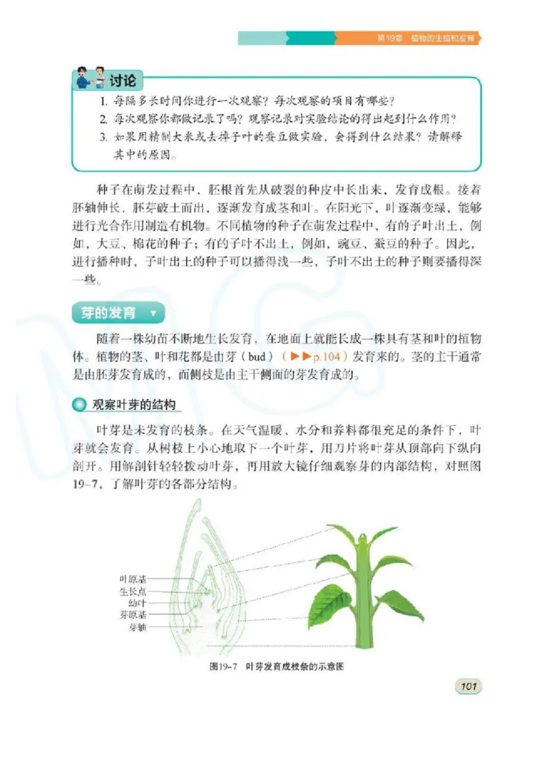 苏科版生物八年级上册_初中电子课本_9.生物_苏科版