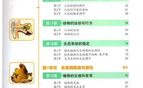 苏科版生物八年级上册_初中电子课本_9.生物_苏科版