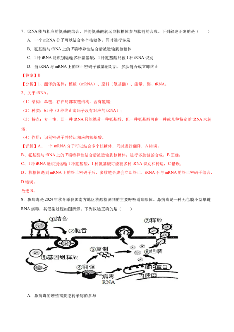 专题五基因的本质与表达（解析版）_2025年新高考资料_二轮复习_01高考语文等多个文件_举一反三2025年高考生物二轮重点专题讲义（新高考通用）