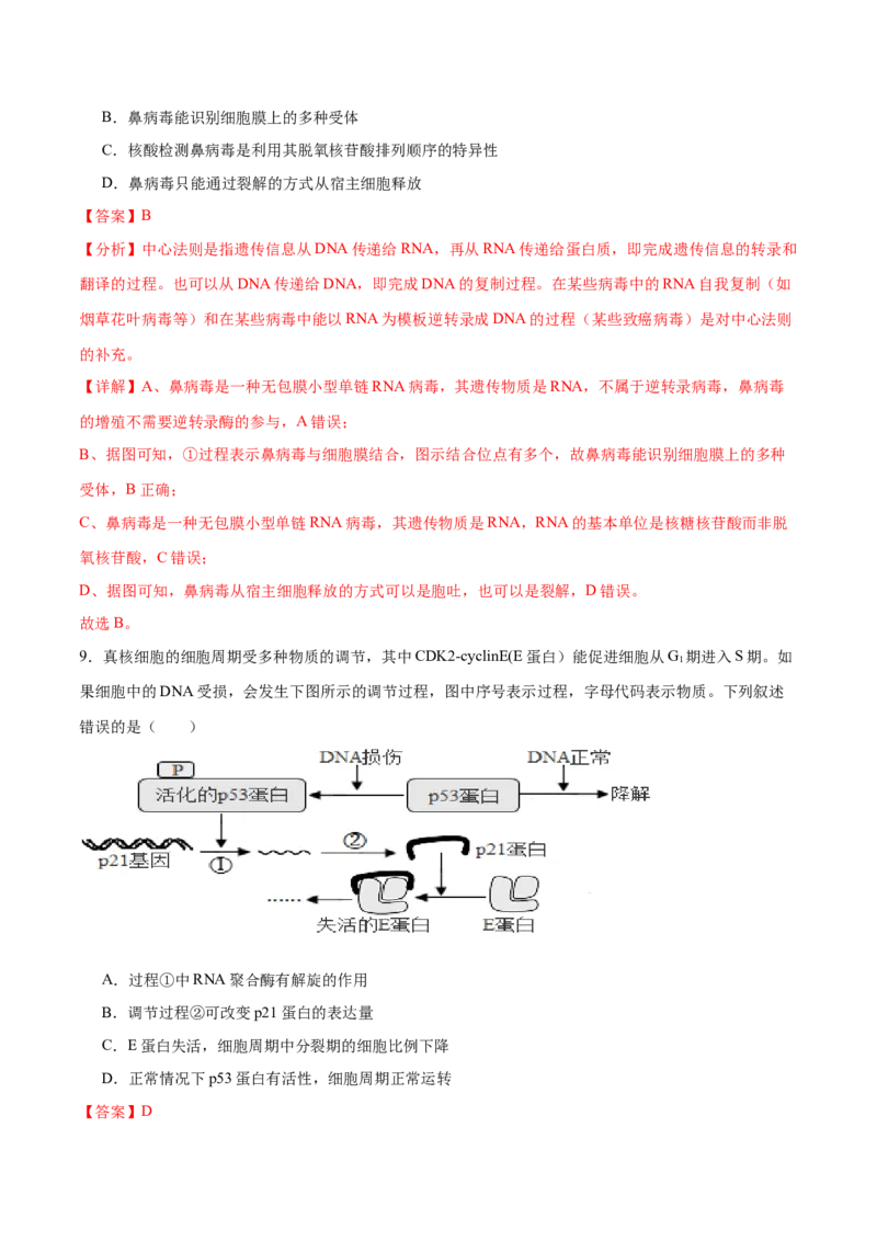 专题五基因的本质与表达（解析版）_2025年新高考资料_二轮复习_01高考语文等多个文件_举一反三2025年高考生物二轮重点专题讲义（新高考通用）