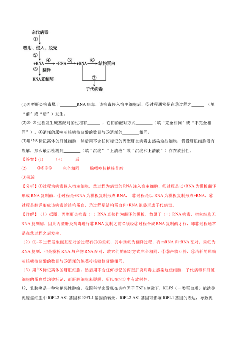 专题五基因的本质与表达（解析版）_2025年新高考资料_二轮复习_01高考语文等多个文件_举一反三2025年高考生物二轮重点专题讲义（新高考通用）