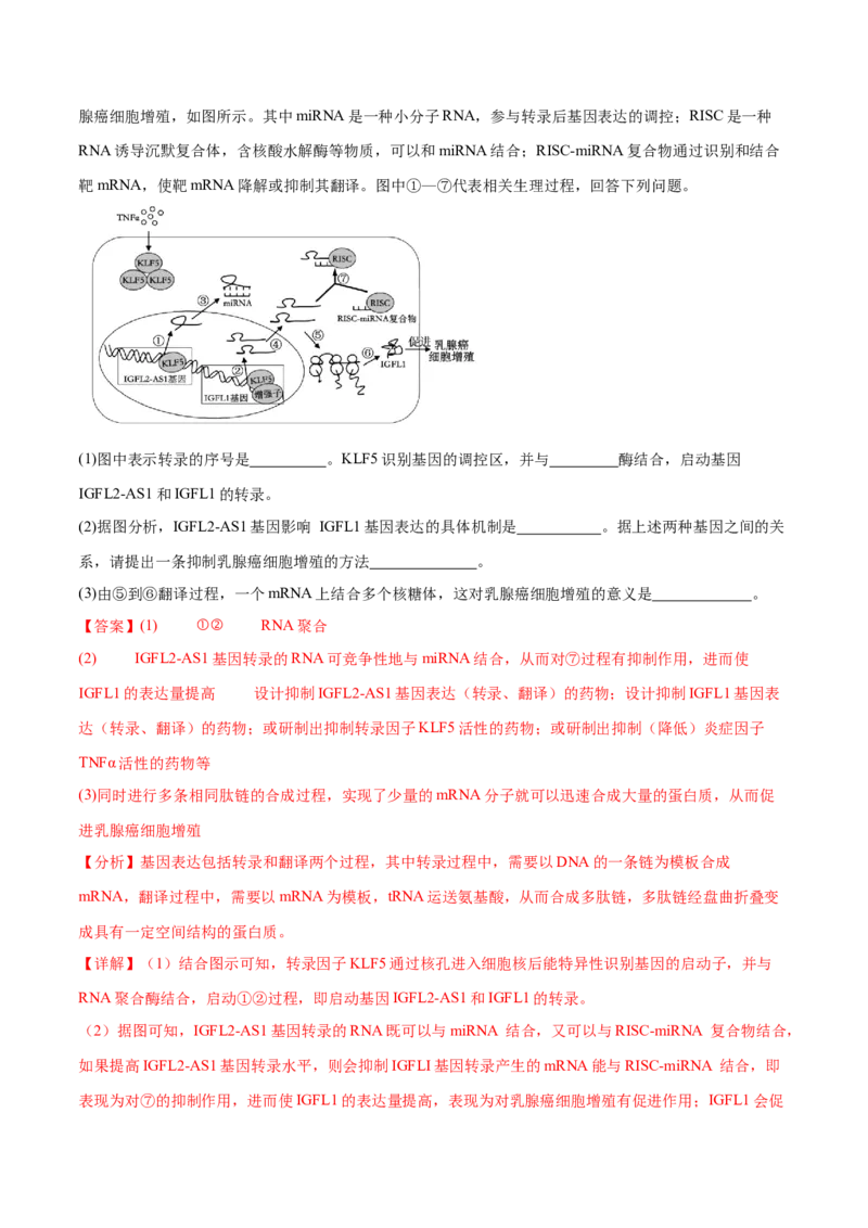 专题五基因的本质与表达（解析版）_2025年新高考资料_二轮复习_01高考语文等多个文件_举一反三2025年高考生物二轮重点专题讲义（新高考通用）