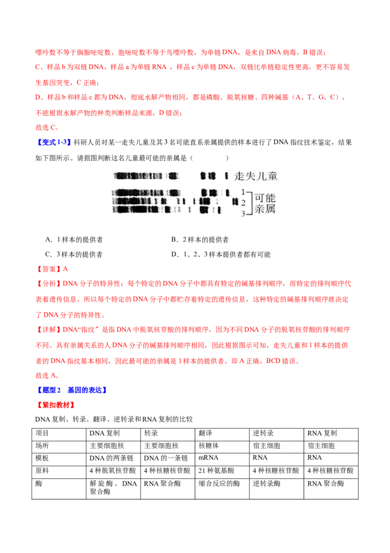 专题五基因的本质与表达（解析版）_2025年新高考资料_二轮复习_01高考语文等多个文件_举一反三2025年高考生物二轮重点专题讲义（新高考通用）