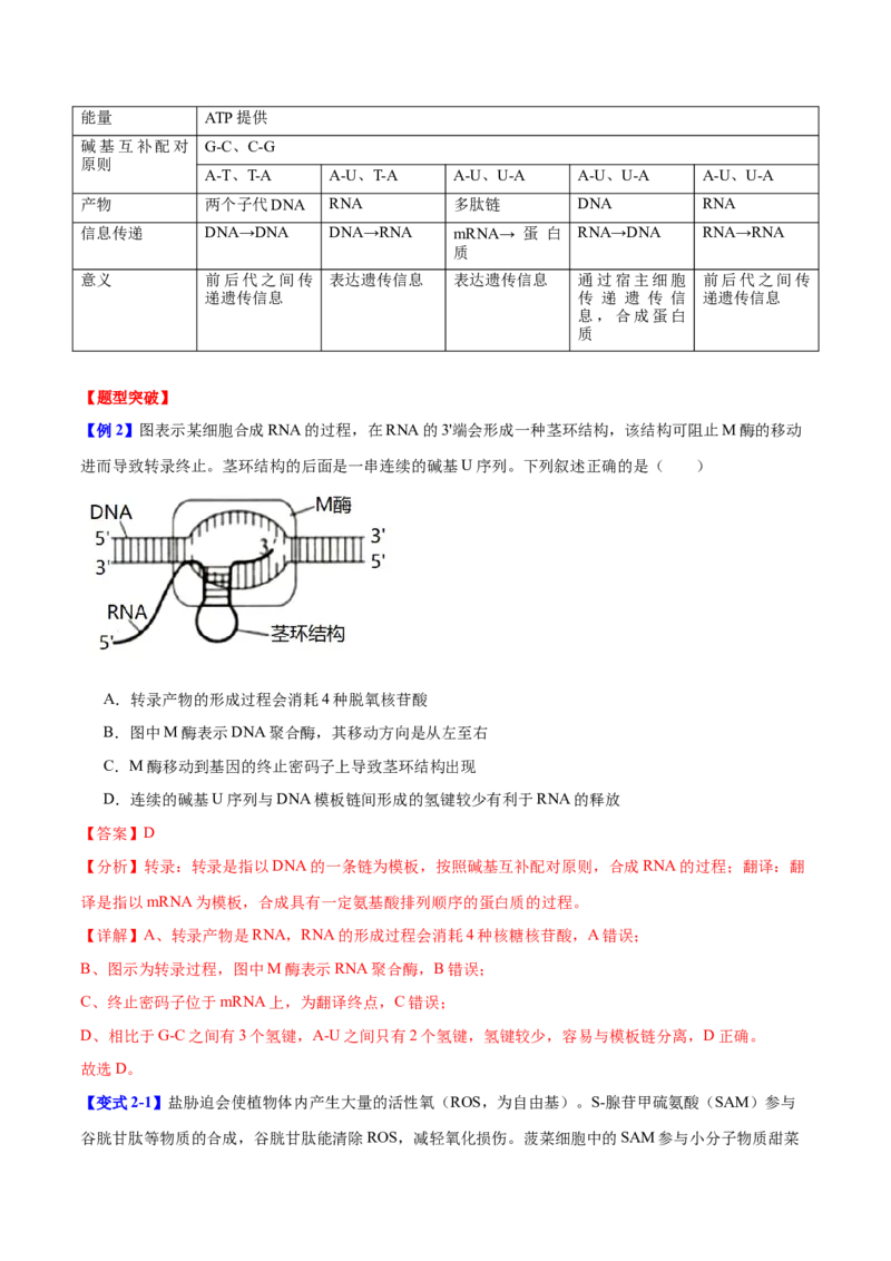 专题五基因的本质与表达（解析版）_2025年新高考资料_二轮复习_01高考语文等多个文件_举一反三2025年高考生物二轮重点专题讲义（新高考通用）