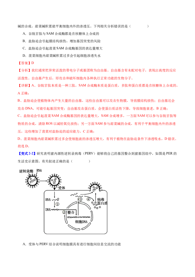 专题五基因的本质与表达（解析版）_2025年新高考资料_二轮复习_01高考语文等多个文件_举一反三2025年高考生物二轮重点专题讲义（新高考通用）