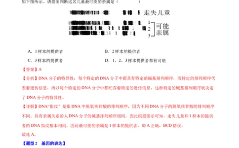 专题五基因的本质与表达（解析版）_2025年新高考资料_二轮复习_01高考语文等多个文件_举一反三2025年高考生物二轮重点专题讲义（新高考通用）