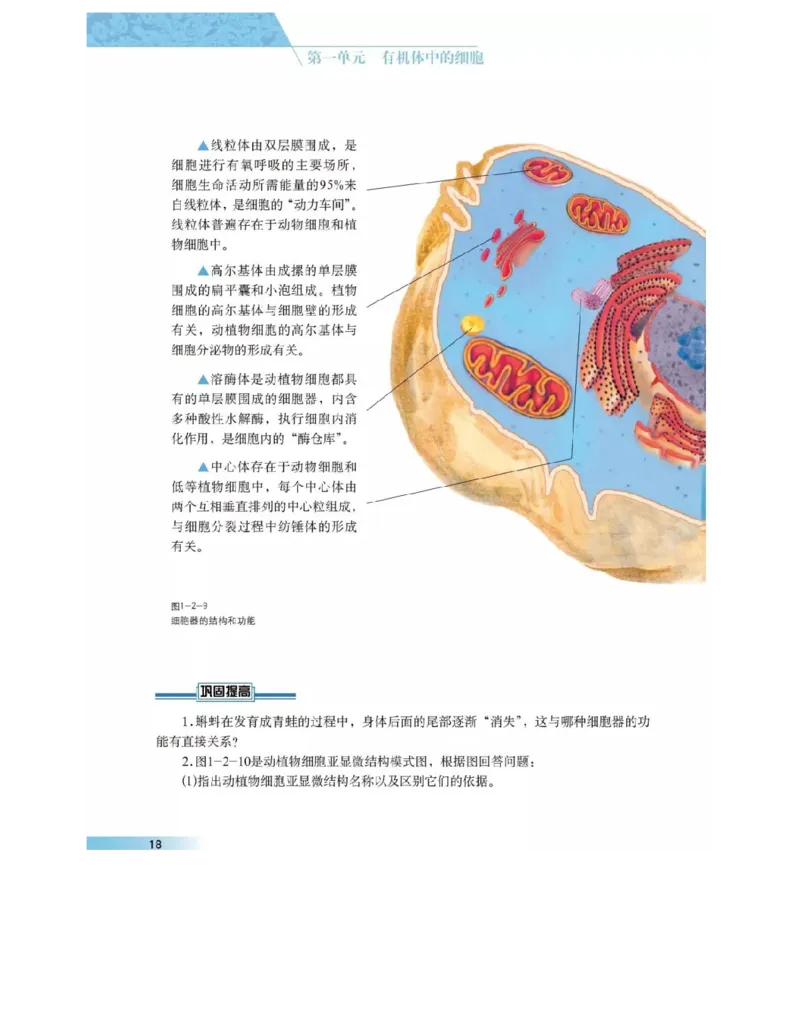 沪科版高中生物必修1《分子与细胞》电子课本_高中电子课本_6.高中生物课本_沪科版高中生物