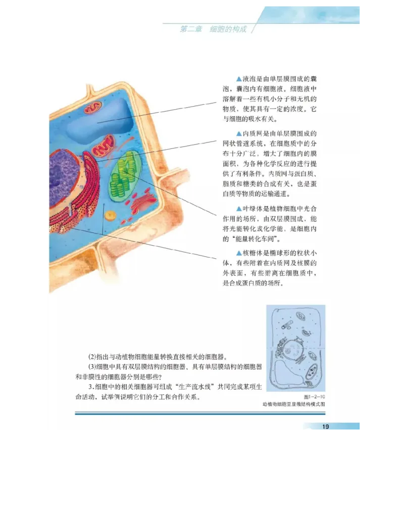 沪科版高中生物必修1《分子与细胞》电子课本_高中电子课本_6.高中生物课本_沪科版高中生物