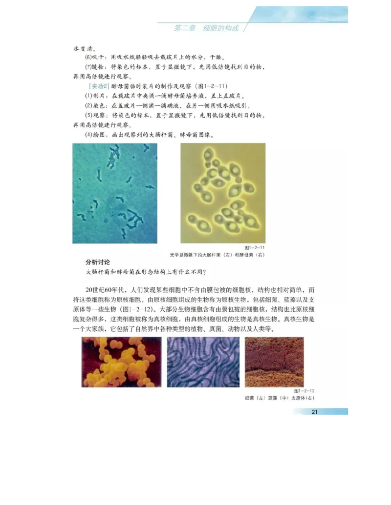 沪科版高中生物必修1《分子与细胞》电子课本_高中电子课本_6.高中生物课本_沪科版高中生物