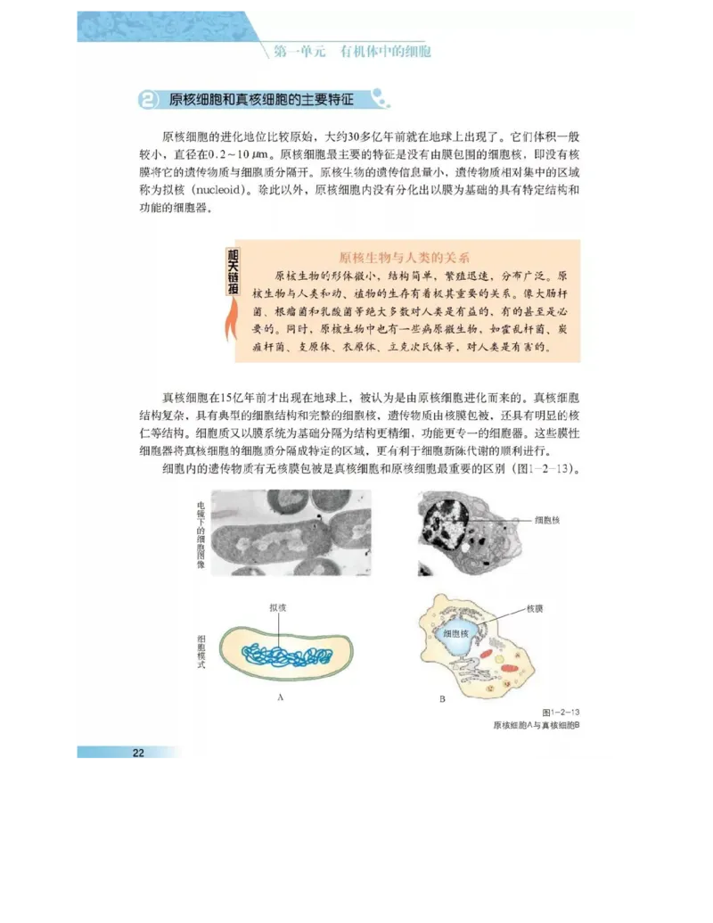沪科版高中生物必修1《分子与细胞》电子课本_高中电子课本_6.高中生物课本_沪科版高中生物