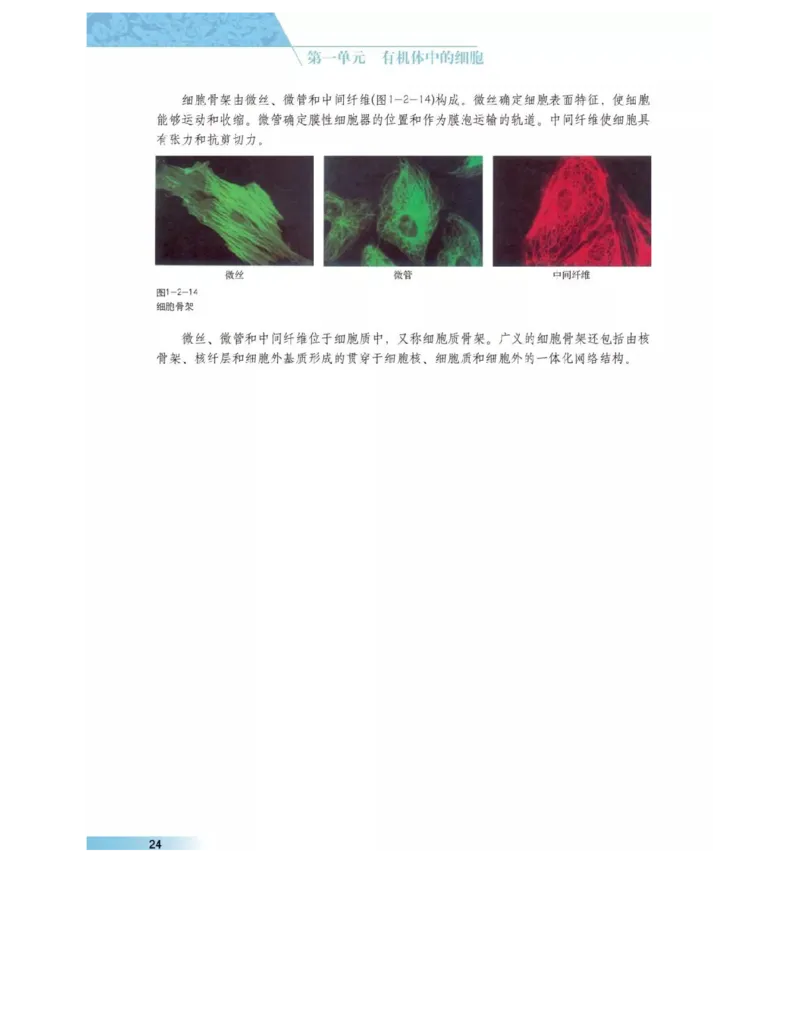 沪科版高中生物必修1《分子与细胞》电子课本_高中电子课本_6.高中生物课本_沪科版高中生物