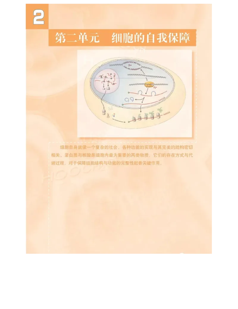 沪科版高中生物必修1《分子与细胞》电子课本_高中电子课本_6.高中生物课本_沪科版高中生物