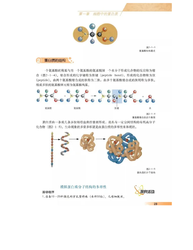 沪科版高中生物必修1《分子与细胞》电子课本_高中电子课本_6.高中生物课本_沪科版高中生物