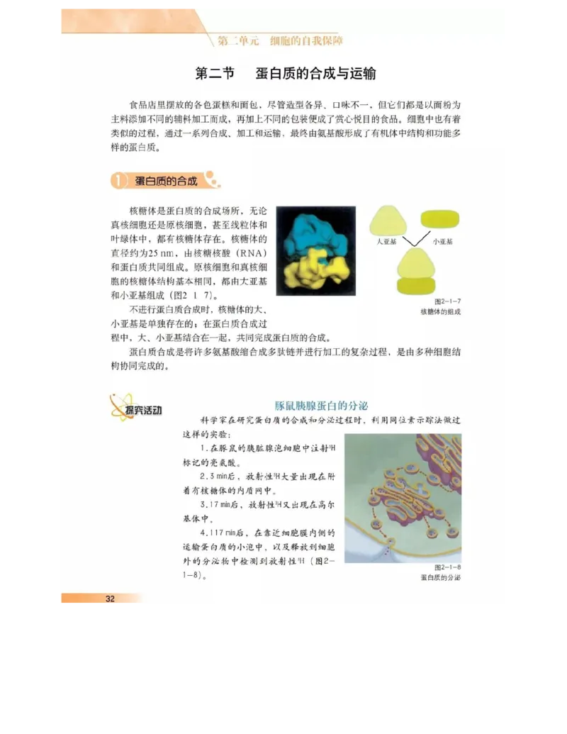 沪科版高中生物必修1《分子与细胞》电子课本_高中电子课本_6.高中生物课本_沪科版高中生物