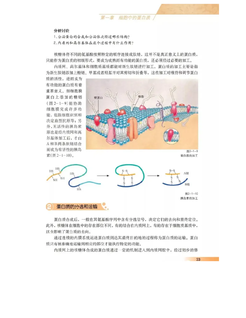 沪科版高中生物必修1《分子与细胞》电子课本_高中电子课本_6.高中生物课本_沪科版高中生物