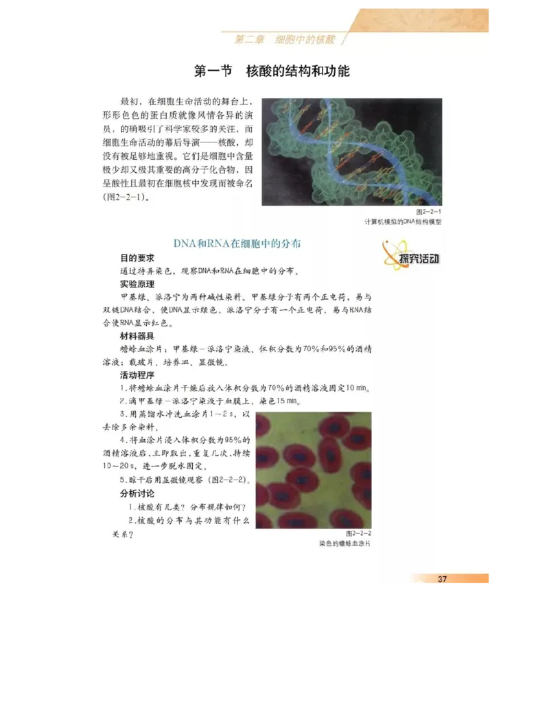 沪科版高中生物必修1《分子与细胞》电子课本_高中电子课本_6.高中生物课本_沪科版高中生物