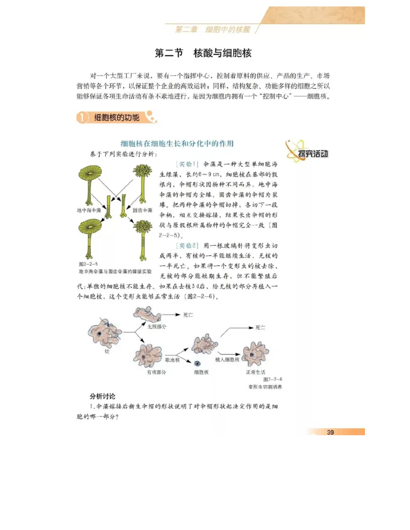 沪科版高中生物必修1《分子与细胞》电子课本_高中电子课本_6.高中生物课本_沪科版高中生物