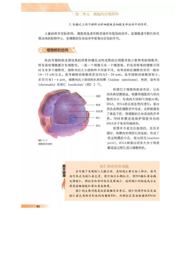 沪科版高中生物必修1《分子与细胞》电子课本_高中电子课本_6.高中生物课本_沪科版高中生物