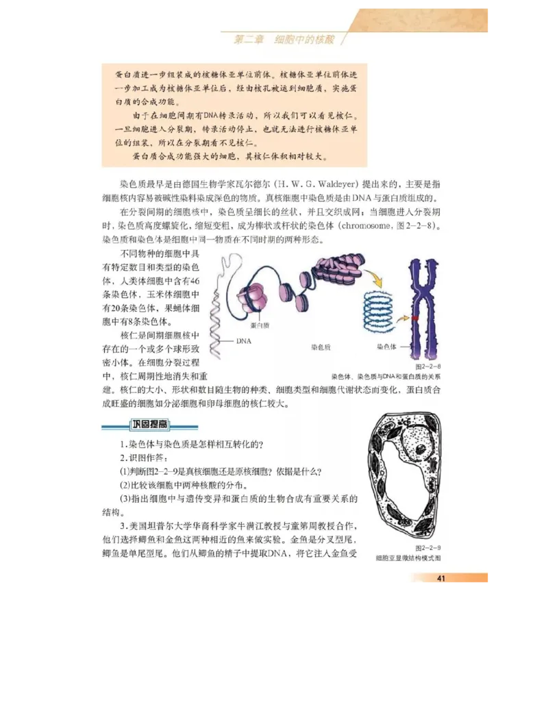 沪科版高中生物必修1《分子与细胞》电子课本_高中电子课本_6.高中生物课本_沪科版高中生物