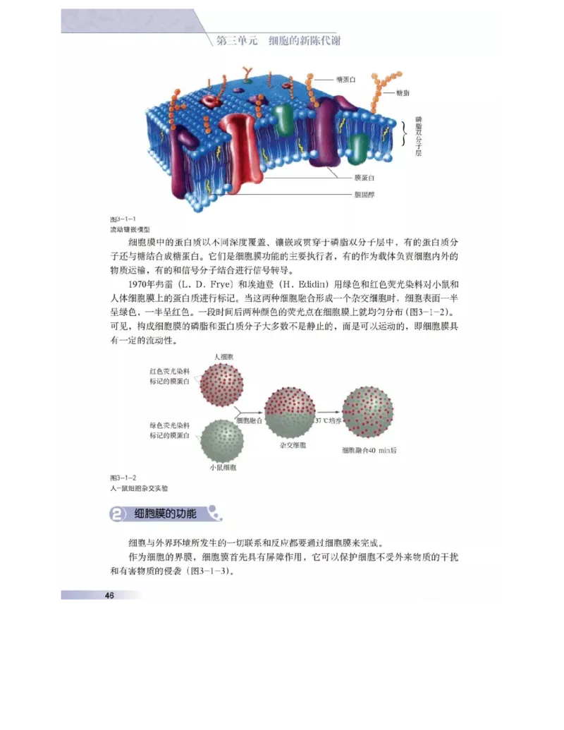 沪科版高中生物必修1《分子与细胞》电子课本_高中电子课本_6.高中生物课本_沪科版高中生物