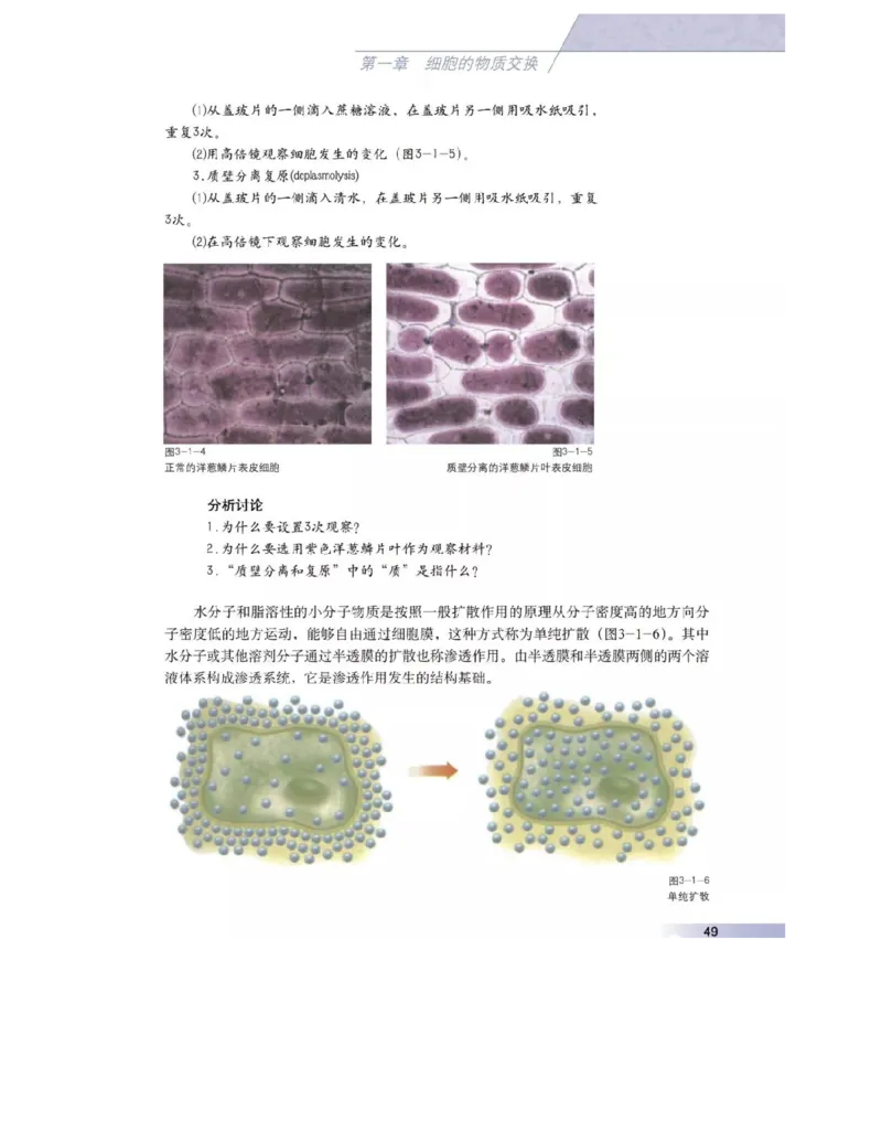 沪科版高中生物必修1《分子与细胞》电子课本_高中电子课本_6.高中生物课本_沪科版高中生物