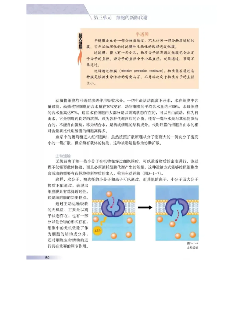 沪科版高中生物必修1《分子与细胞》电子课本_高中电子课本_6.高中生物课本_沪科版高中生物