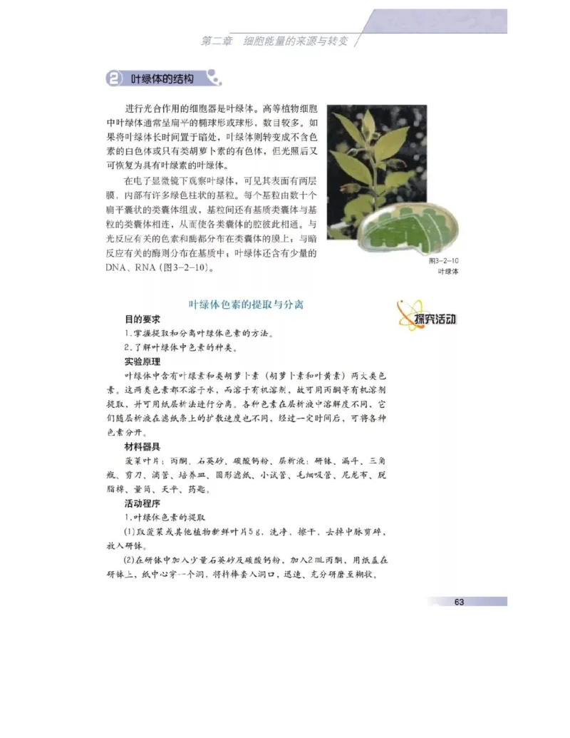 沪科版高中生物必修1《分子与细胞》电子课本_高中电子课本_6.高中生物课本_沪科版高中生物