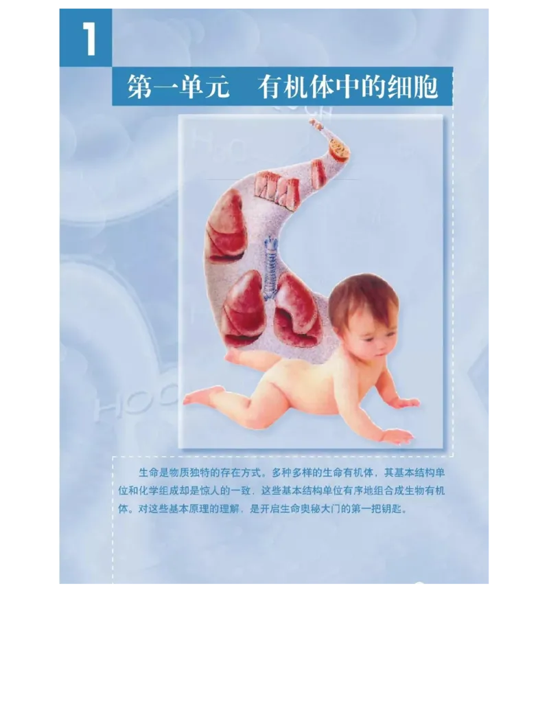 沪科版高中生物必修1《分子与细胞》电子课本_高中电子课本_6.高中生物课本_沪科版高中生物